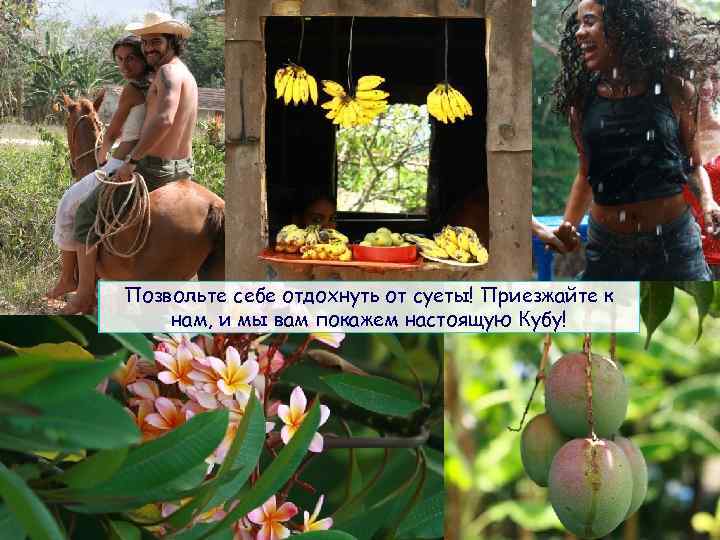 Позвольте себе отдохнуть от суеты! Приезжайте к нам, и мы вам покажем настоящую Кубу!