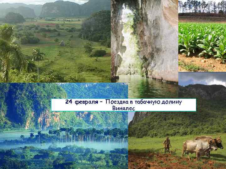 24 февраля – Поездка в табачную долину Винялес 