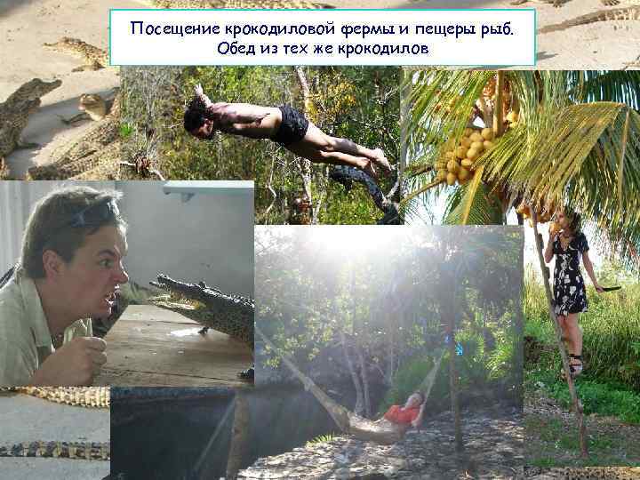 Посещение крокодиловой фермы и пещеры рыб. Обед из тех же крокодилов 