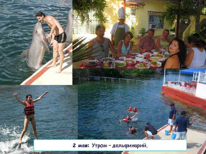 2 мая: Утром – дельфинарий. 
