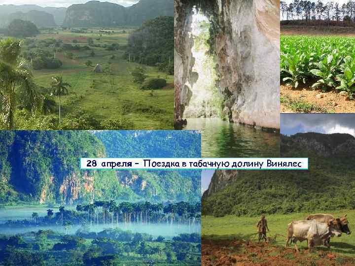 28 апреля – Поездка в табачную долину Винялес 
