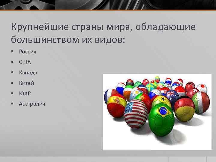 Крупнейшие страны мира, обладающие большинством их видов: § Россия § США § Канада §
