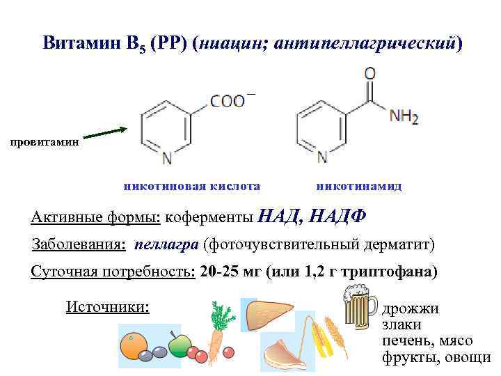 Витамин В 5 (РР) (ниацин; антипеллагрический) – провитамин никотиновая кислота никотинамид Активные формы: коферменты