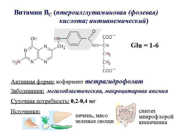 Витамин ВС (птероилглутаминовая (фолевая) кислота; антианемический) – Glu = 1 -6 – Активная форма: