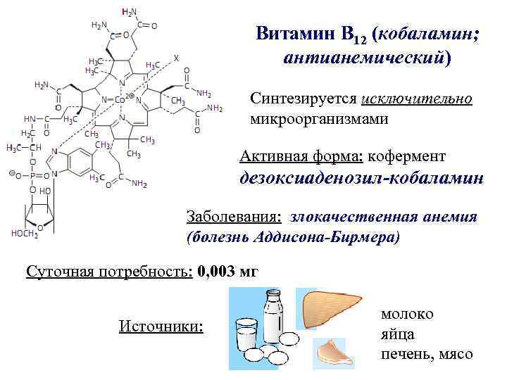 Витамин в 12 презентация