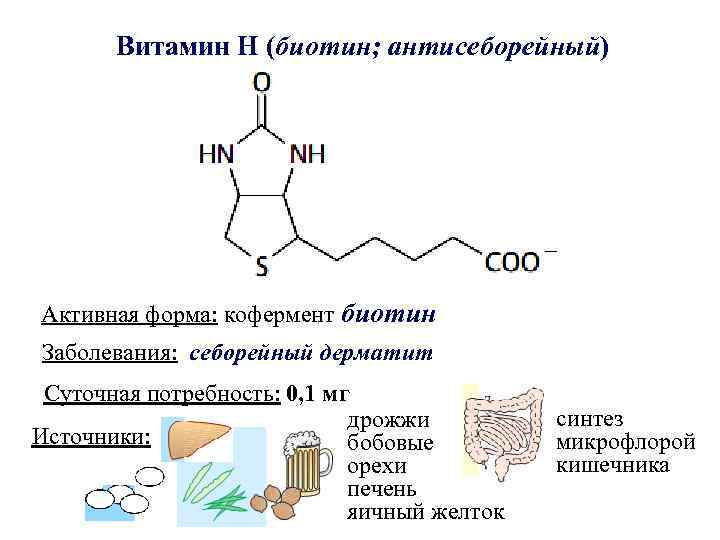 Активная форма