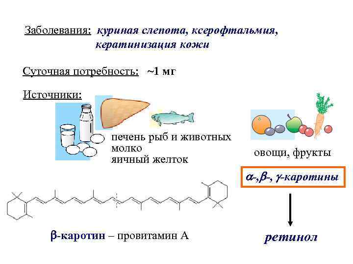 Заболевания: куриная слепота, ксерофтальмия, кератинизация кожи Суточная потребность: ~1 мг Источники: печень рыб и