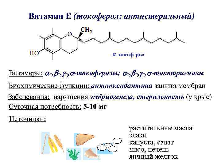 Витамин Е (токоферол; антистерильный) -токоферол Витамеры: -, -, -, -токоферолы; -, -, -, -токотриенолы