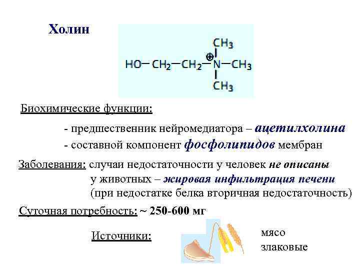Холин Биохимические функции: - предшественник нейромедиатора – ацетилхолина - составной компонент фосфолипидов мембран Заболевания: