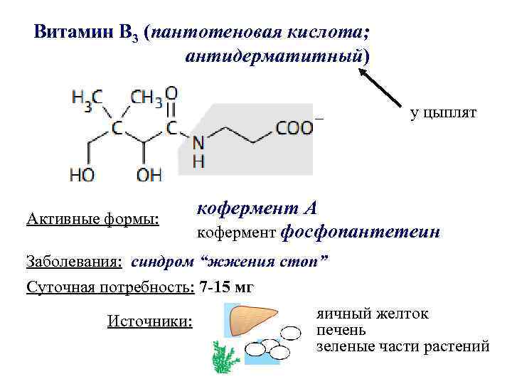 Фолиевая кислота пантотеновая кислота и биотин