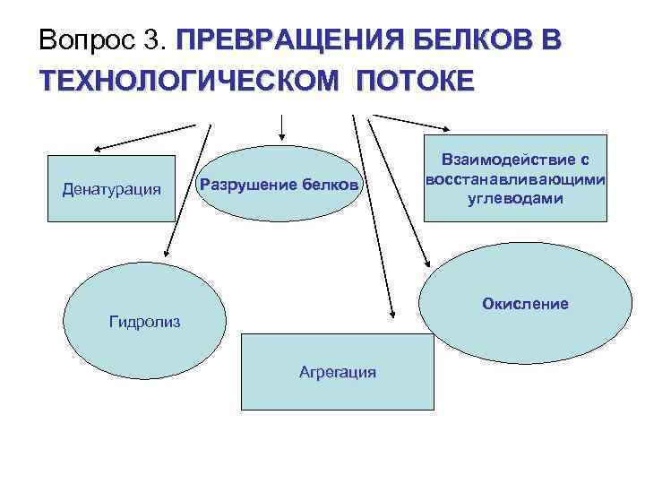 Вопрос 3. ПРЕВРАЩЕНИЯ БЕЛКОВ В ТЕХНОЛОГИЧЕСКОМ ПОТОКЕ Денатурация Разрушение белков Взаимодействие с восстанавливающими углеводами