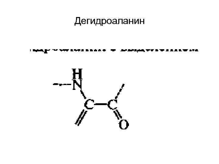 Дегидроаланин 