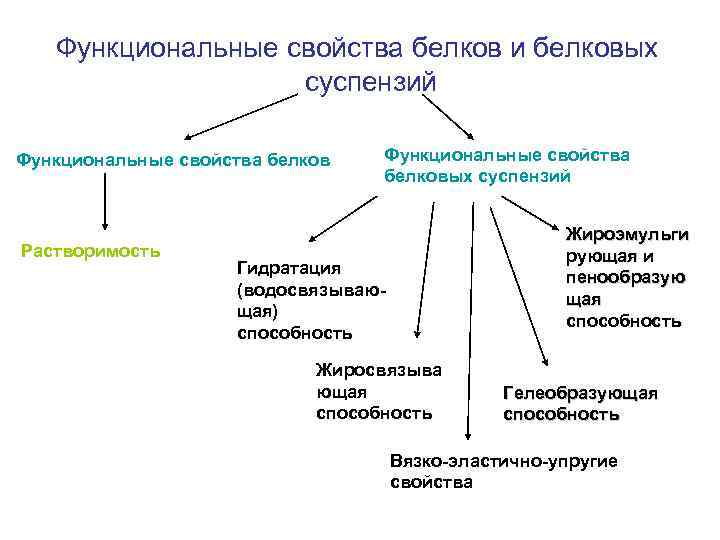 Функциональные свойства белков и белковых суспензий Функциональные свойства белков Растворимость Функциональные свойства белковых суспензий