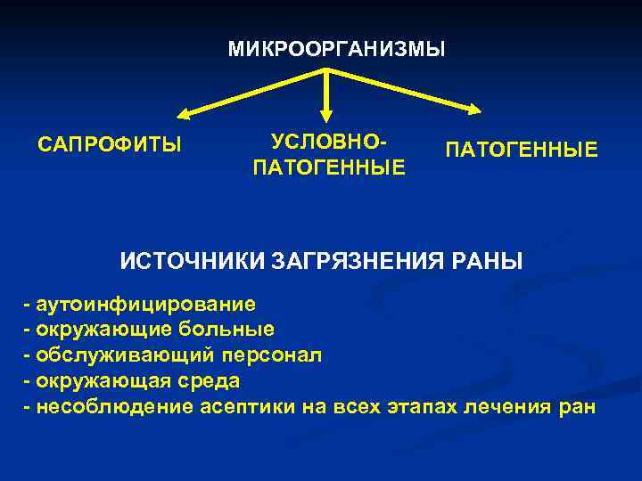 Источники условно патогенных микроорганизмов. Патогенные микроорганизмы источники загрязнения. Условно патогенные бактерии. Патогенные условно патогенные сапрофиты.