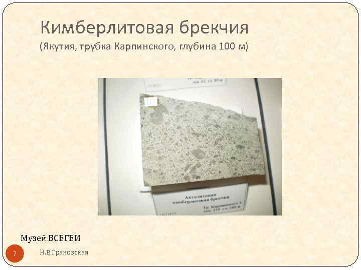 Кимберлитовая брекчия (Якутия, трубка Карпинского, глубина 100 м) Музей ВСЕГЕИ 7 Н. В. Грановская