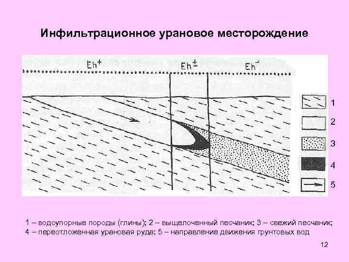 Инфильтрационное урановое месторождение 1 2 3 4 5 1 – водоупорные породы (глины); 2