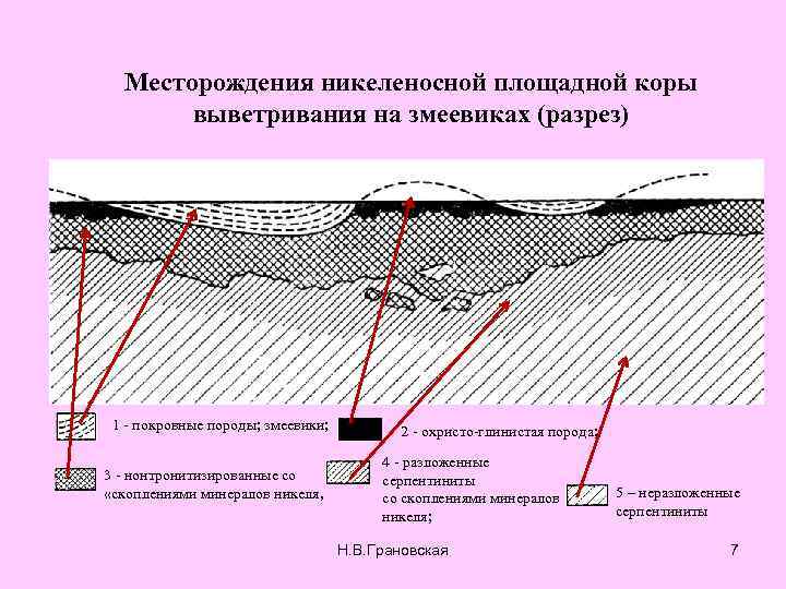 Месторождения никеленосной площадной коры выветривания на змеевиках (разрез) 1 - покровные породы; змеевики; 3