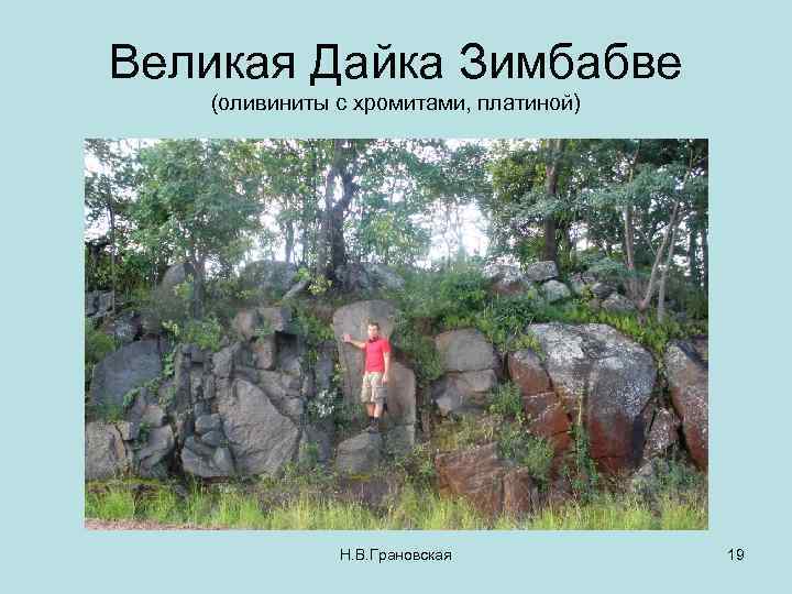 Великая Дайка Зимбабве (оливиниты с хромитами, платиной) Н. В. Грановская 19 