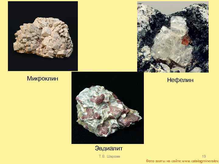 Микроклин Нефелин Эвдиалит Т. В. Шарова 19 Фото взяты на сайте www. catalogmineralov. 