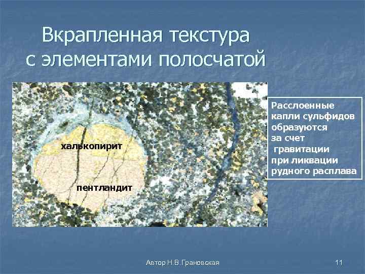 Вкрапленная текстура с элементами полосчатой Расслоенные капли сульфидов образуются за счет гравитации при ликвации