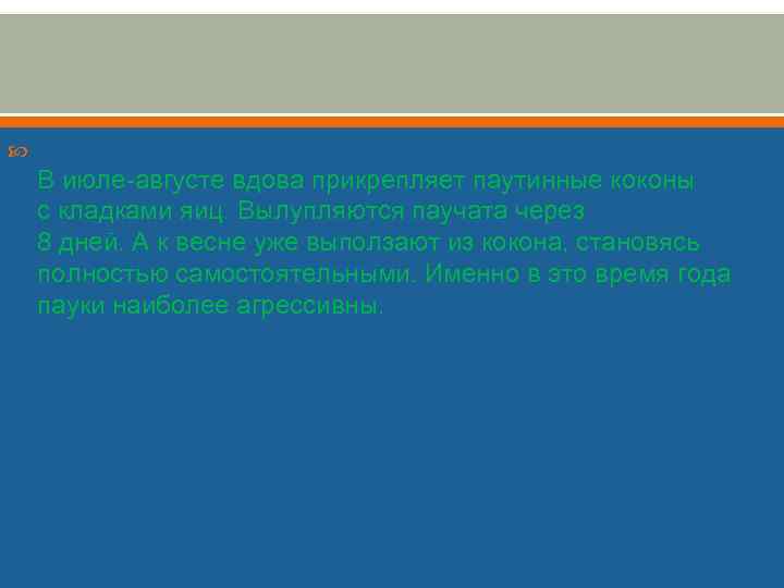  В июле-августе вдова прикрепляет паутинные коконы с кладками яиц. Вылупляются паучата через 8