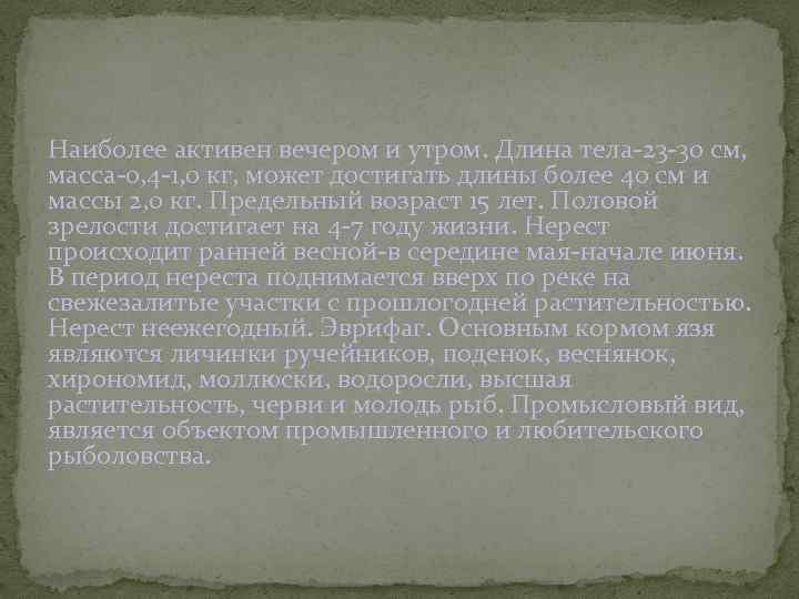Наиболее активен вечером и утром. Длина тела-23 -30 см, масса-0, 4 -1, 0 кг,