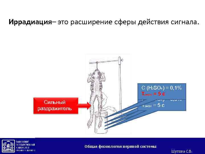 Иррадиация– это расширение сферы действия сигнала. Сильный раздражитель С (Н 2 SО 4) =