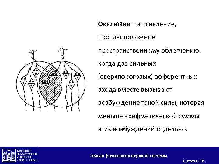 Окклюзия – это явление, противоположное пространственному облегчению, когда два сильных (сверхпороговых) афферентных входа вместе