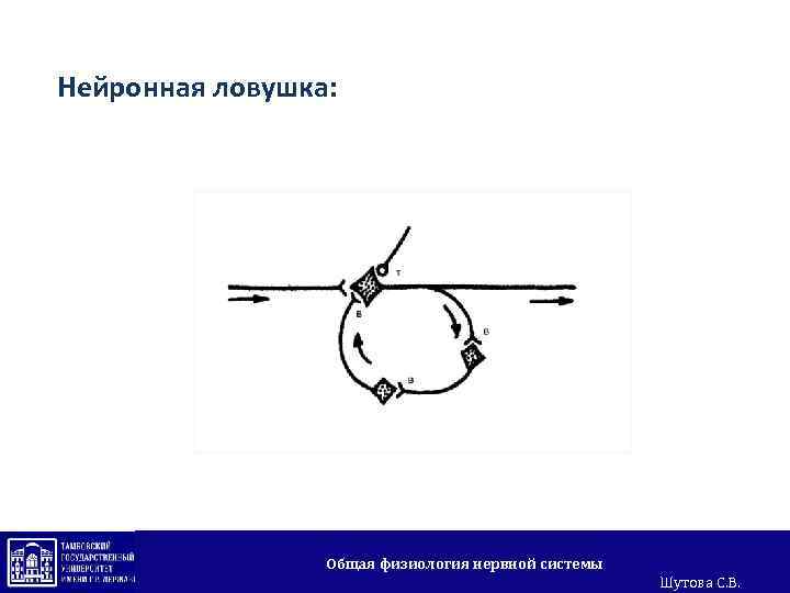 Нейронная ловушка: Общая физиология нервной системы Шутова С. В. 