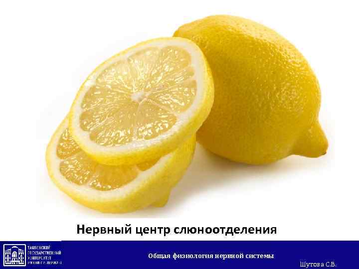 Нервный центр слюноотделения Общая физиология нервной системы Шутова С. В. 