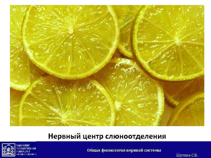 Нервный центр слюноотделения Общая физиология нервной системы Шутова С. В. 