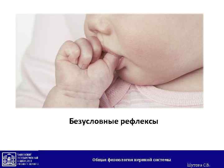 Безусловные рефлексы Общая физиология нервной системы Шутова С. В. 