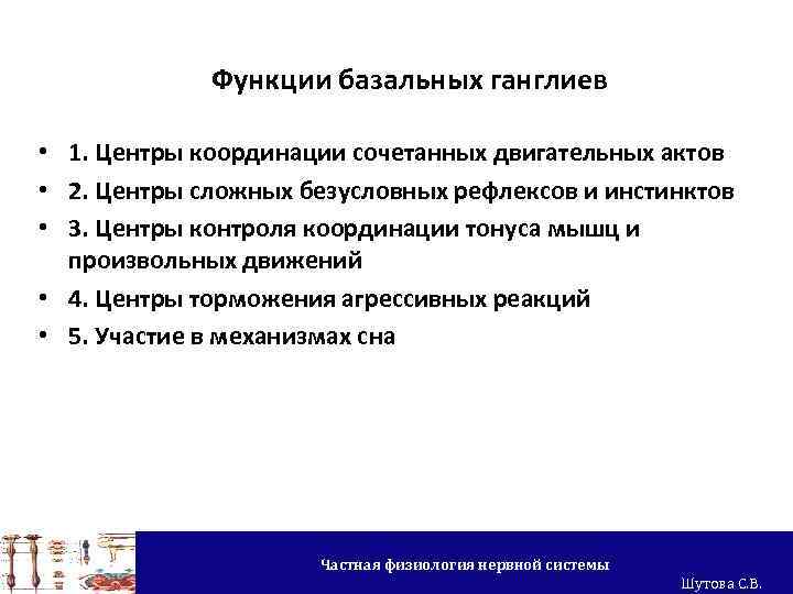 Функции базальных ганглиев • 1. Центры координации сочетанных двигательных актов • 2. Центры сложных