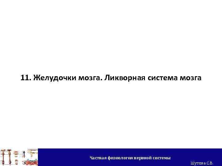 11. Желудочки мозга. Ликворная система мозга Частная физиология нервной системы Шутова С. В. 