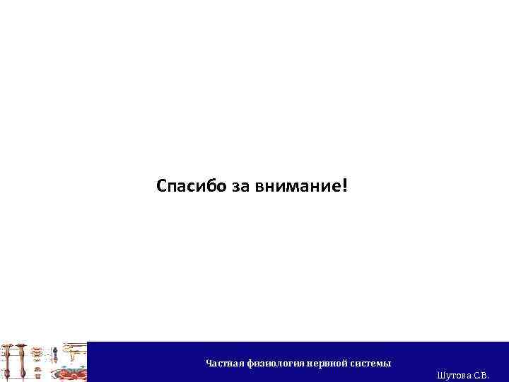 Спасибо за внимание! Частная физиология нервной системы Шутова С. В. 