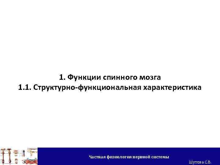 1. Функции спинного мозга 1. 1. Структурно-функциональная характеристика Частная физиология нервной системы Шутова С.