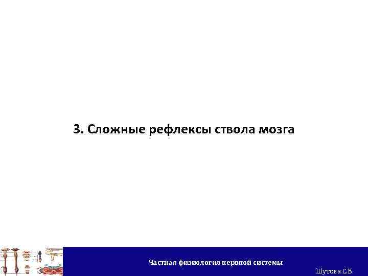 3. Сложные рефлексы ствола мозга Частная физиология нервной системы Шутова С. В. 