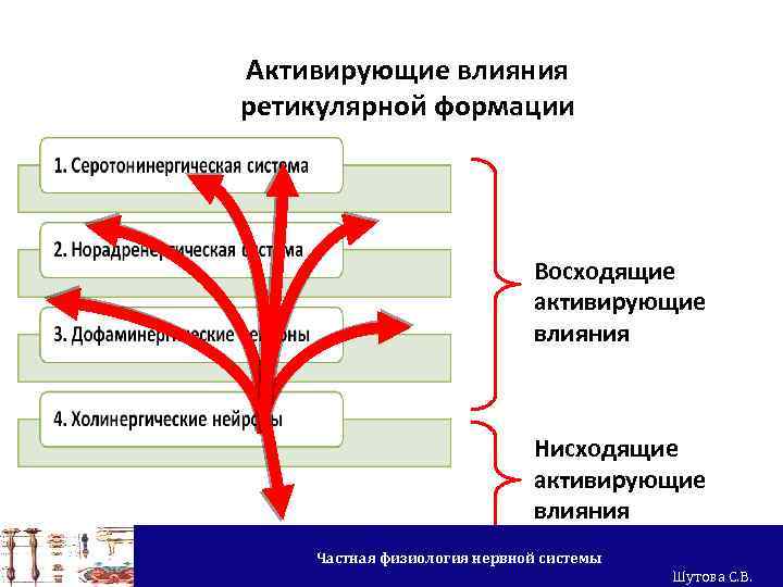 Система влияний