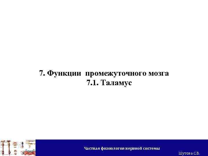 7. Функции промежуточного мозга 7. 1. Таламус Частная физиология нервной системы Шутова С. В.