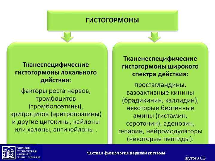 Частная физиология нервной системы Шутова С. В. 