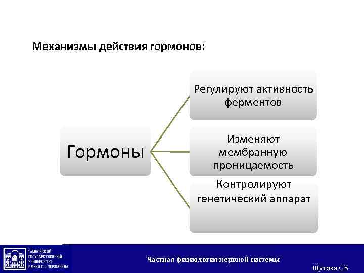 Механизмы действия гормонов: Регулируют активность ферментов Гормоны Изменяют мембранную проницаемость Контролируют генетический аппарат Частная