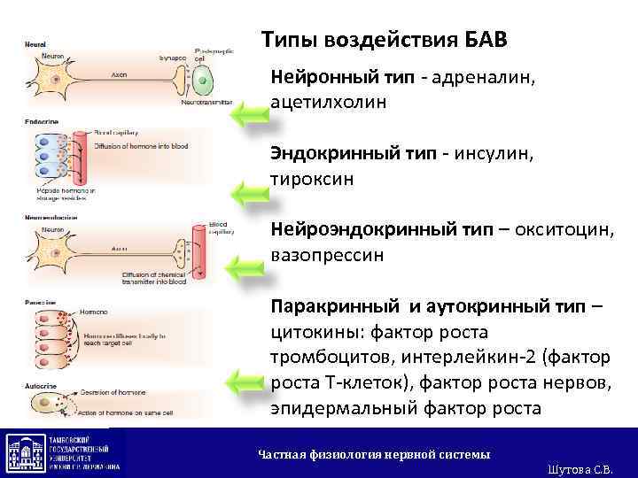 Окситоцин вазопрессин адреналин