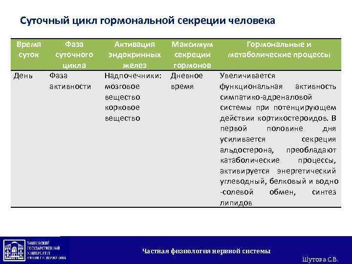 Функциональное время. Суточные циклы человека. Суточный цикл гормонов. Фазы суточного цикла. Цикл секреции.