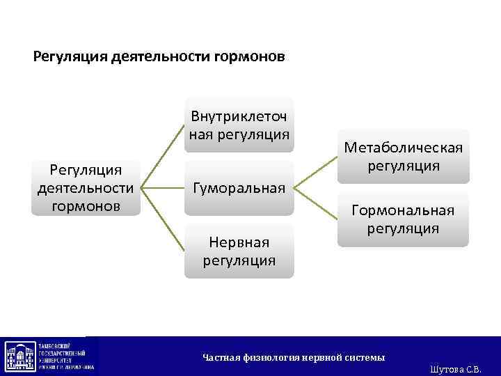 Регуляция деятельности гормонов Внутриклеточ ная регуляция Регуляция деятельности гормонов Метаболическая регуляция Гуморальная Нервная регуляция