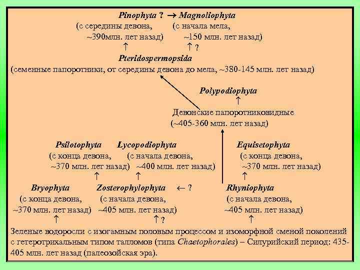 Pinophyta ? Magnoliophyta (с середины девона, (с начала мела, ~390 млн. лет назад) ~150