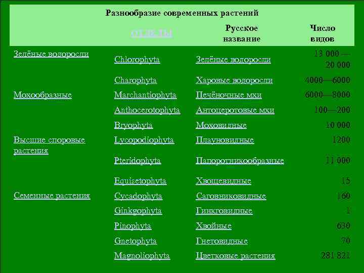 Разнообразие современных растений Зелёные водоросли ОТДЕЛЫ Русское название Число видов Харовые водоросли 4000— 6000