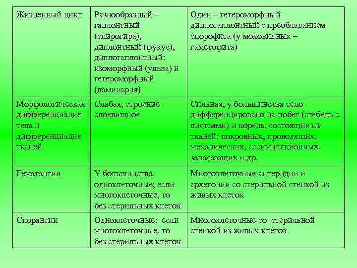 Жизненный цикл Разнообразный – гаплонтный (спирогира), диплонтный (фукус), диплогаплонтный: изоморфный (ульва) и гетероморфный (ламинария)