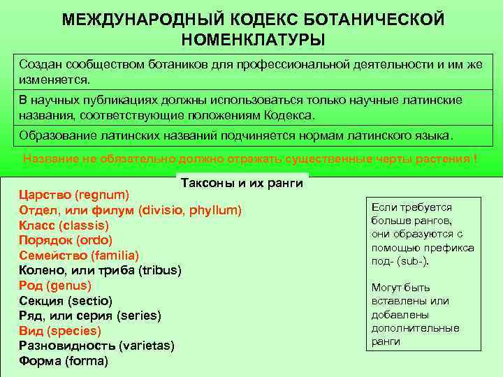 МЕЖДУНАРОДНЫЙ КОДЕКС БОТАНИЧЕСКОЙ НОМЕНКЛАТУРЫ Создан сообществом ботаников для профессиональной деятельности и им же изменяется.