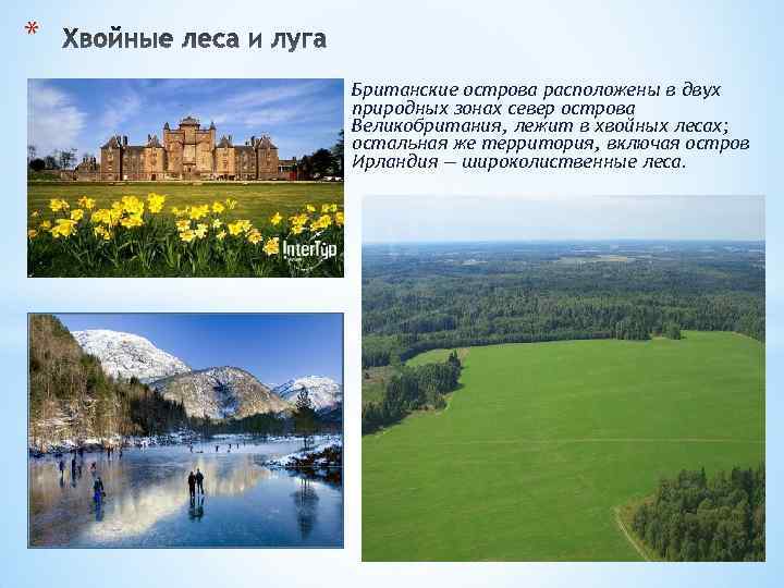 * Британские острова расположены в двух природных зонах север острова Великобритания, лежит в хвойных