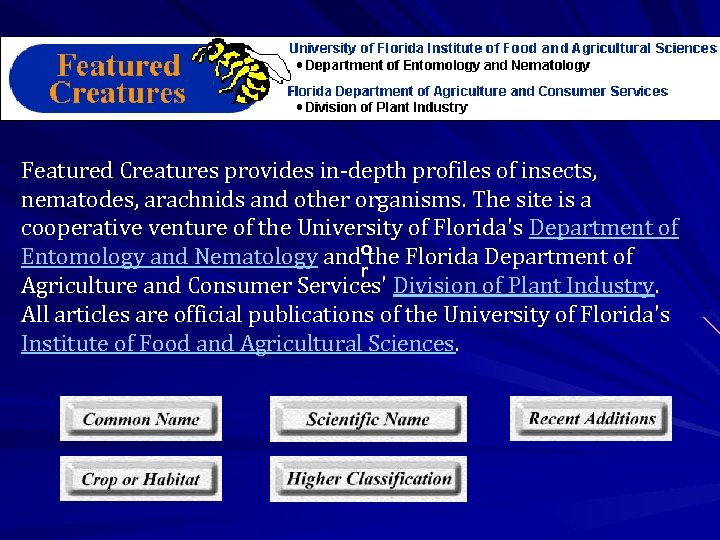 Featured Creatures provides in-depth profiles of insects, nematodes, arachnids and other organisms. The site